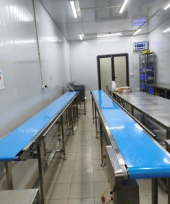 băng tải thực phẩm pu đồng nhất
